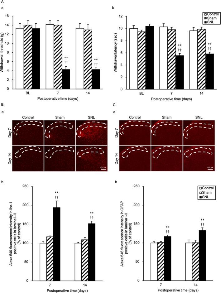 https://cdn.ncbi.nlm.nih.gov/pmc/blobs/403c/9338054/4e5dec8a3268/41598_2022_17477_Fig1_HTML.jpg