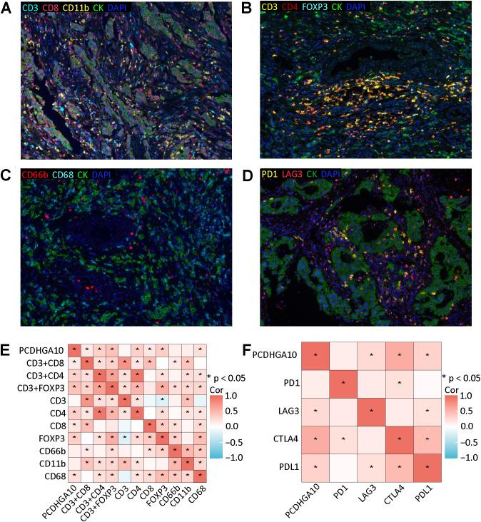 https://cdn.ncbi.nlm.nih.gov/pmc/blobs/403d/11647002/a2b5541f98ea/fimmu-15-1500478-g004.jpg