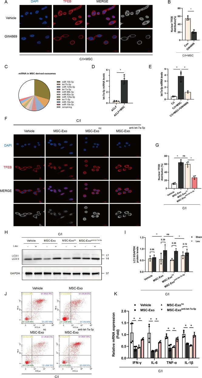 https://cdn.ncbi.nlm.nih.gov/pmc/blobs/403e/9556718/0f535f6d37e6/41419_2022_5303_Fig5_HTML.jpg