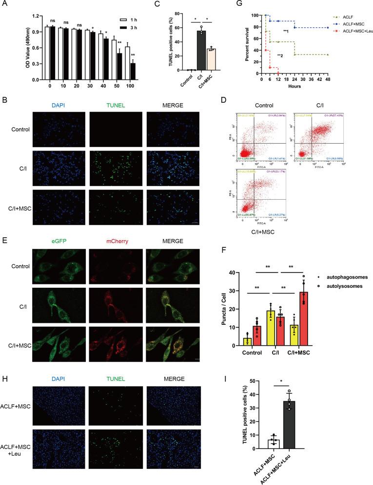 https://cdn.ncbi.nlm.nih.gov/pmc/blobs/403e/9556718/66e9368937ab/41419_2022_5303_Fig3_HTML.jpg
