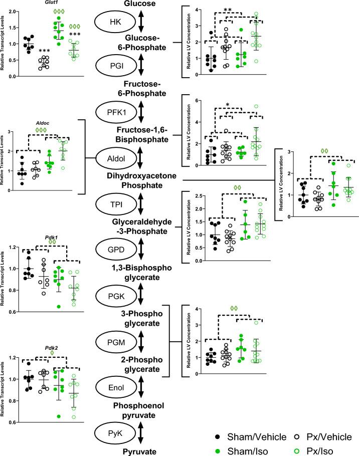 https://cdn.ncbi.nlm.nih.gov/pmc/blobs/403f/11339431/307bdd9f3c0c/41598_2024_70335_Fig4_HTML.jpg