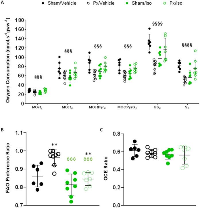 https://cdn.ncbi.nlm.nih.gov/pmc/blobs/403f/11339431/d0bad02fe3d8/41598_2024_70335_Fig2_HTML.jpg