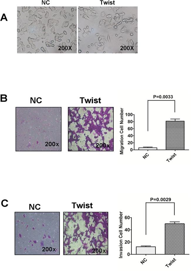 https://cdn.ncbi.nlm.nih.gov/pmc/blobs/4040/4546631/05644f4744bb/pone.0135851.g002.jpg