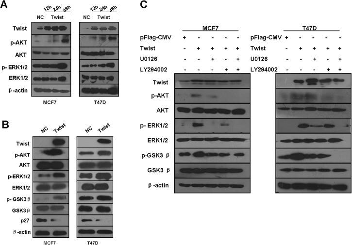 https://cdn.ncbi.nlm.nih.gov/pmc/blobs/4040/4546631/5f3996001ef0/pone.0135851.g004.jpg