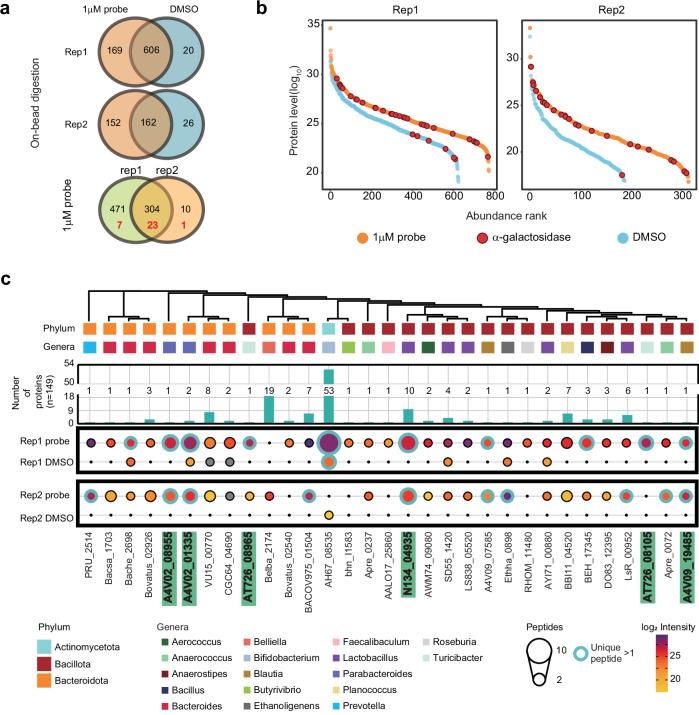 https://cdn.ncbi.nlm.nih.gov/pmc/blobs/4042/11329505/7fa4ca030763/42004_2024_1273_Fig2_HTML.jpg
