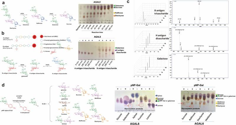 https://cdn.ncbi.nlm.nih.gov/pmc/blobs/4042/11329505/e76a61e84aa9/42004_2024_1273_Fig7_HTML.jpg
