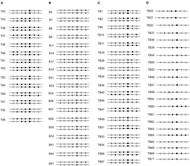 https://cdn.ncbi.nlm.nih.gov/pmc/blobs/4043/3367456/75e0b50526e0/fmicb-03-00192-g004.jpg