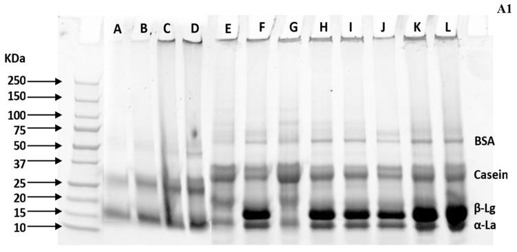 https://cdn.ncbi.nlm.nih.gov/pmc/blobs/4048/11431367/94435fe86d70/foods-13-03016-g005a.jpg