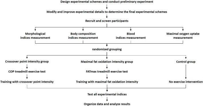 https://cdn.ncbi.nlm.nih.gov/pmc/blobs/404a/10311904/63281225a695/fphys-14-1190109-g001.jpg