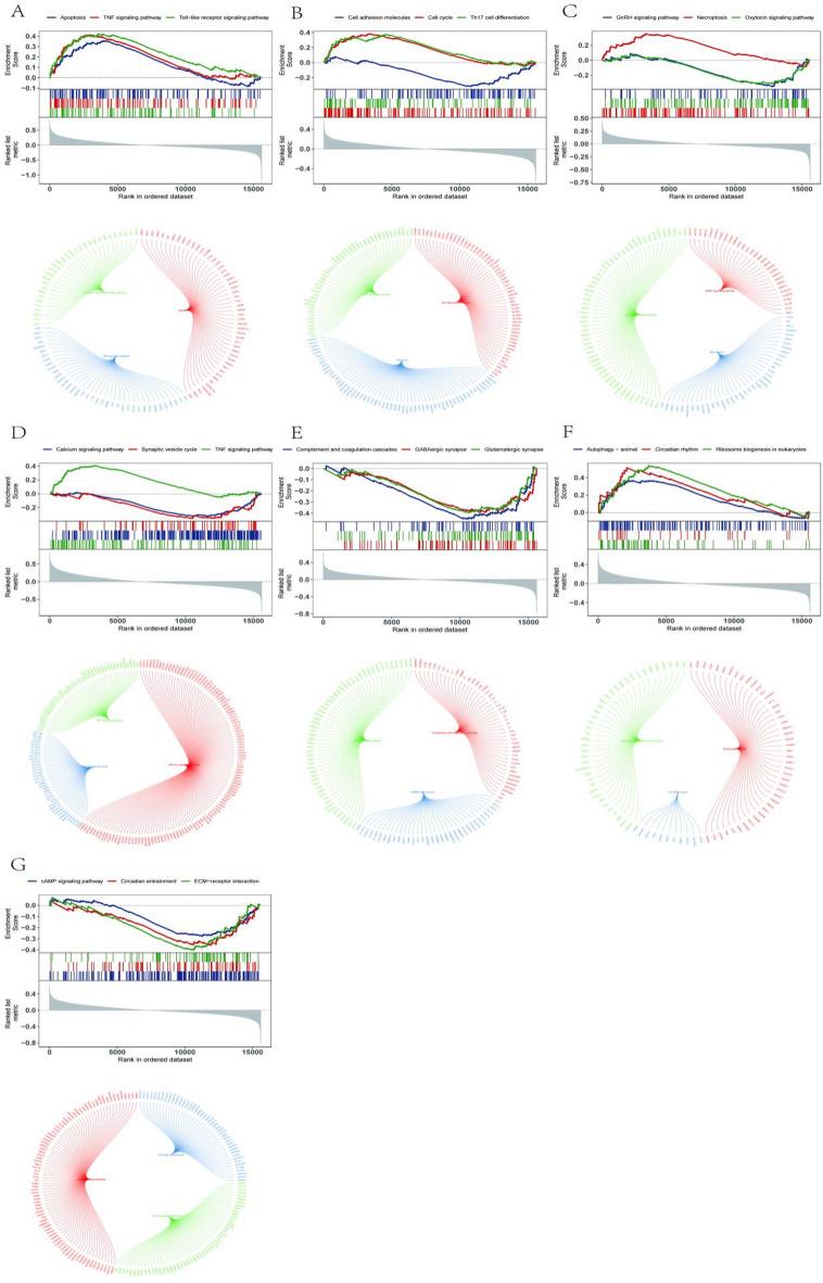 https://cdn.ncbi.nlm.nih.gov/pmc/blobs/404a/12084348/d65cc98d4efd/41598_2025_1049_Fig12_HTML.jpg