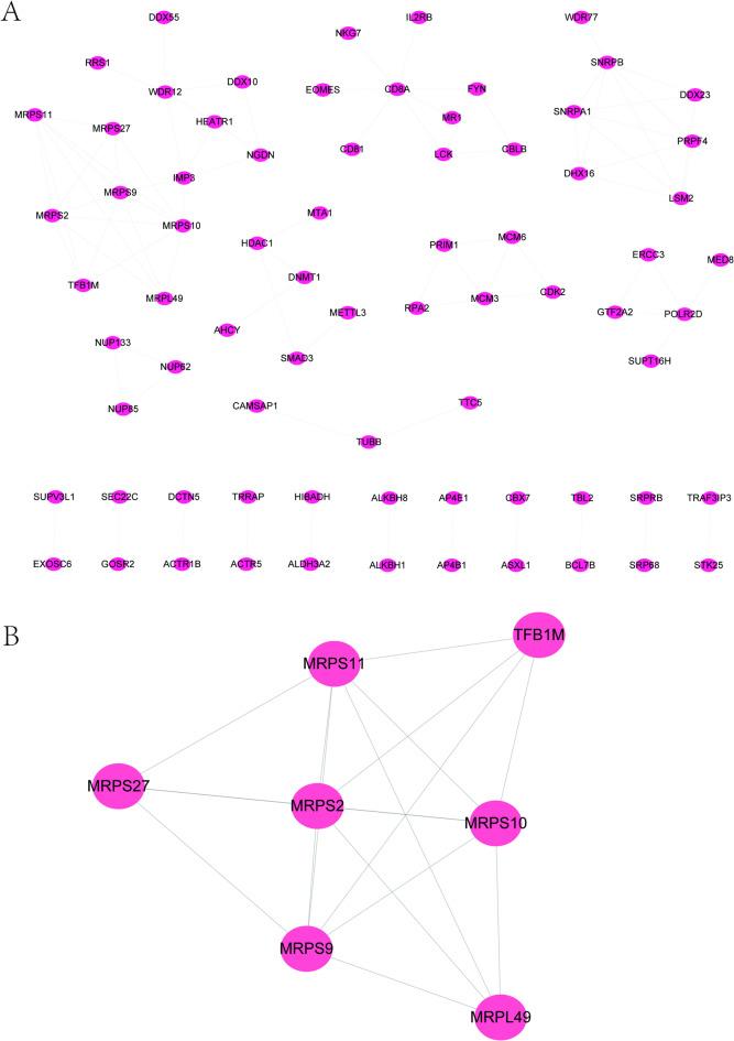 https://cdn.ncbi.nlm.nih.gov/pmc/blobs/404a/12084348/e112a8d567dd/41598_2025_1049_Fig4_HTML.jpg