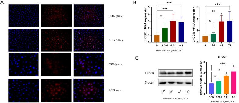https://cdn.ncbi.nlm.nih.gov/pmc/blobs/404b/10993617/12f56310a71d/12958_2024_1205_Fig4_HTML.jpg