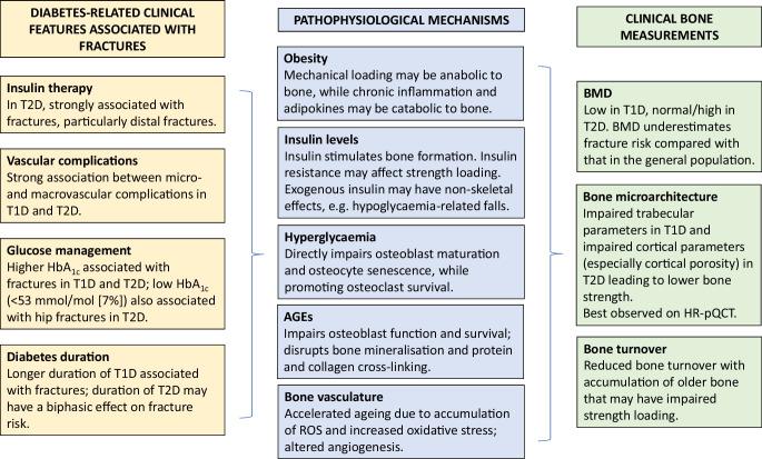 https://cdn.ncbi.nlm.nih.gov/pmc/blobs/404b/11343884/e3a94b1c4d51/125_2024_6172_Fig1_HTML.jpg