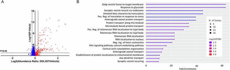 https://cdn.ncbi.nlm.nih.gov/pmc/blobs/404e/12048343/08154d39cf45/44386_2025_9_Fig5_HTML.jpg