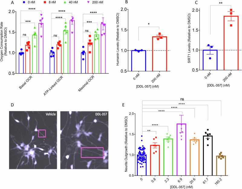 https://cdn.ncbi.nlm.nih.gov/pmc/blobs/404e/12048343/85c323ed6600/44386_2025_9_Fig6_HTML.jpg