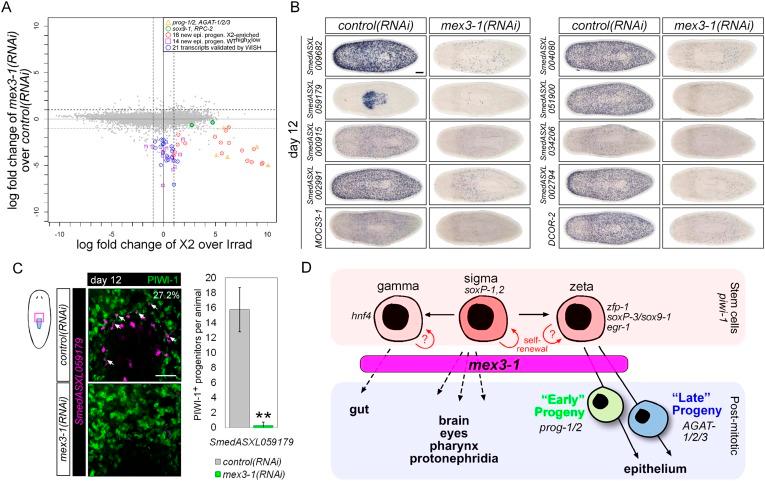 https://cdn.ncbi.nlm.nih.gov/pmc/blobs/404f/4507787/40dbd574a880/elife07025f007.jpg