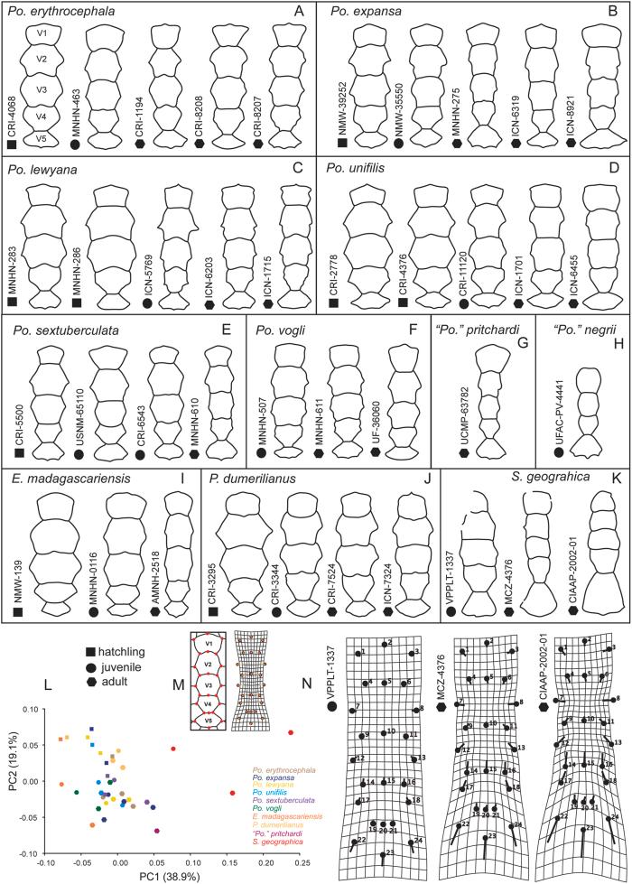 https://cdn.ncbi.nlm.nih.gov/pmc/blobs/404f/8717240/d2f247a9ddae/gr11.jpg