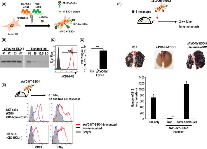 https://cdn.ncbi.nlm.nih.gov/pmc/blobs/4052/8898705/0f57a4210681/CAS-113-864-g006.jpg