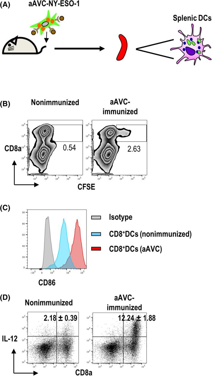 https://cdn.ncbi.nlm.nih.gov/pmc/blobs/4052/8898705/462aaa558408/CAS-113-864-g004.jpg