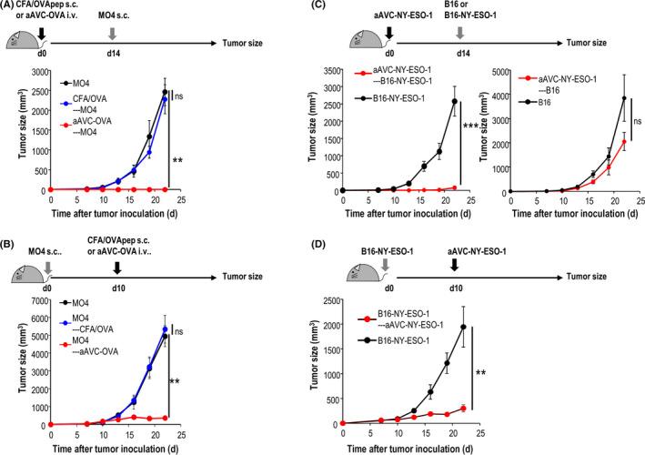 https://cdn.ncbi.nlm.nih.gov/pmc/blobs/4052/8898705/4b754f56e6a5/CAS-113-864-g002.jpg