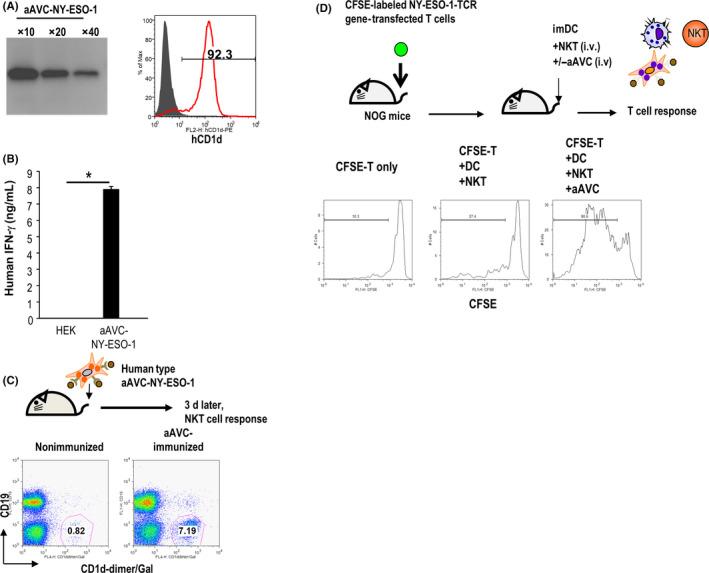 https://cdn.ncbi.nlm.nih.gov/pmc/blobs/4052/8898705/9027f454ad46/CAS-113-864-g001.jpg