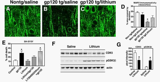 https://cdn.ncbi.nlm.nih.gov/pmc/blobs/4055/2672018/0a1a6a306657/ijms-10-01045f4.jpg