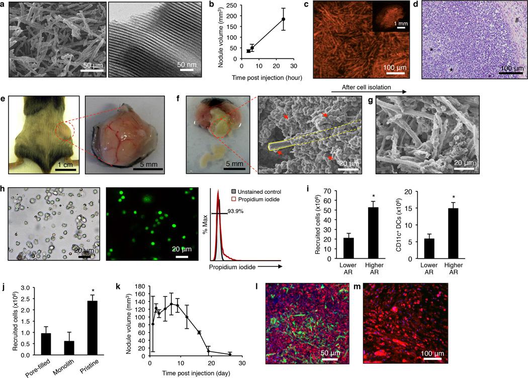 https://cdn.ncbi.nlm.nih.gov/pmc/blobs/4059/4318563/afb724662313/nihms635669f2.jpg