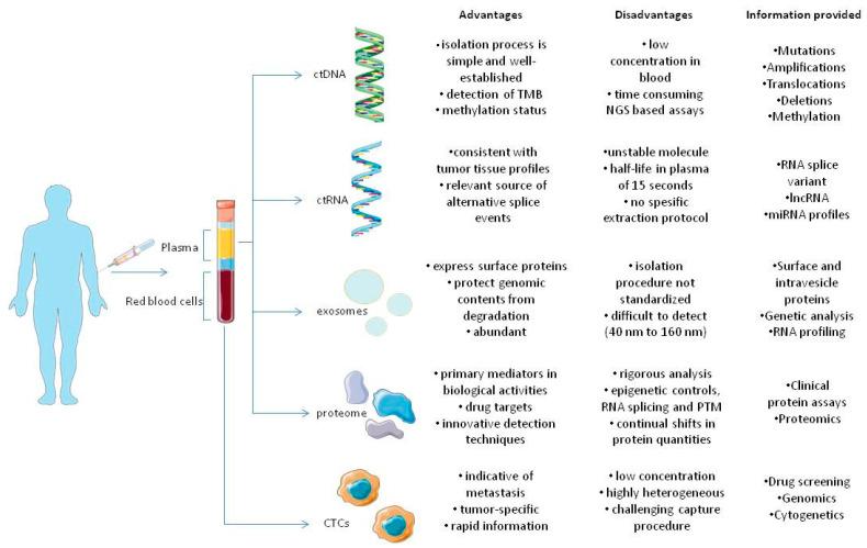 https://cdn.ncbi.nlm.nih.gov/pmc/blobs/405b/10000663/fe4918b18e76/cancers-15-01579-g001.jpg
