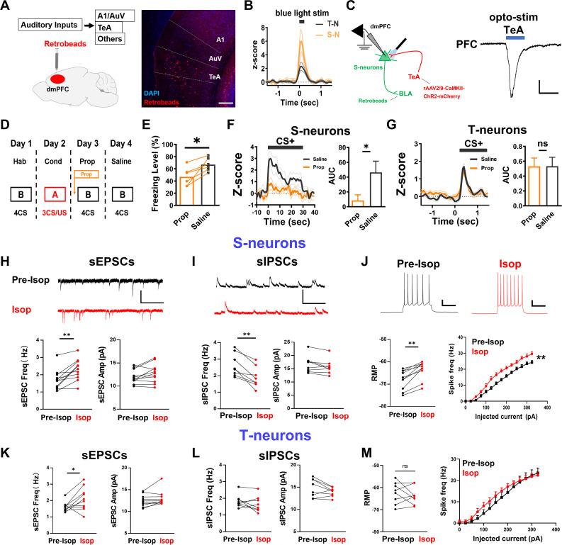 https://cdn.ncbi.nlm.nih.gov/pmc/blobs/405b/12273993/797d80d687a5/pbio.3003272.g004.jpg