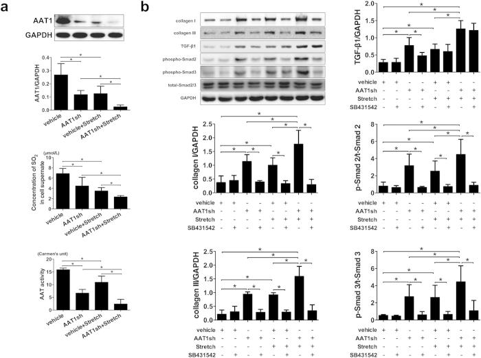 https://cdn.ncbi.nlm.nih.gov/pmc/blobs/405b/4754767/20a4ec437559/srep21112-f3.jpg