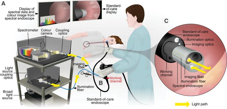 https://cdn.ncbi.nlm.nih.gov/pmc/blobs/405b/9621310/4fb14f940e81/3415fig1.jpg