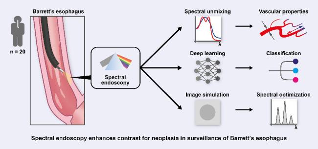 https://cdn.ncbi.nlm.nih.gov/pmc/blobs/405b/9621310/524857daf6f0/overview_graphic_can-21-0474.jpg