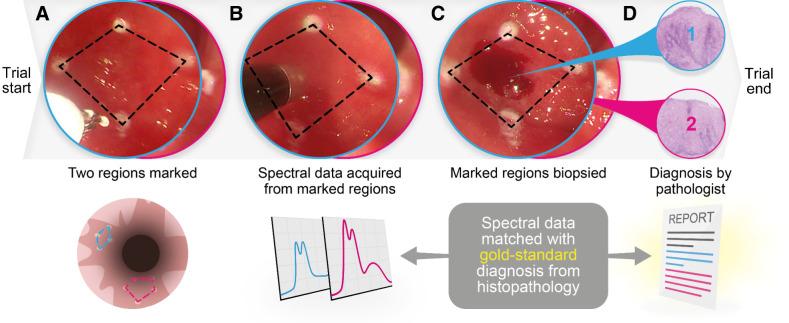 https://cdn.ncbi.nlm.nih.gov/pmc/blobs/405b/9621310/5c91579665b3/3415fig2.jpg
