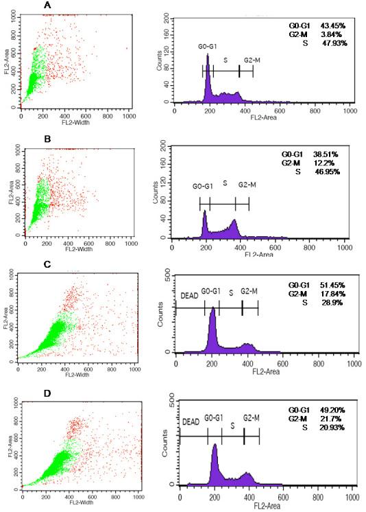 https://cdn.ncbi.nlm.nih.gov/pmc/blobs/405d/3209422/e27385d2c845/mv-v17-2724-f11.jpg