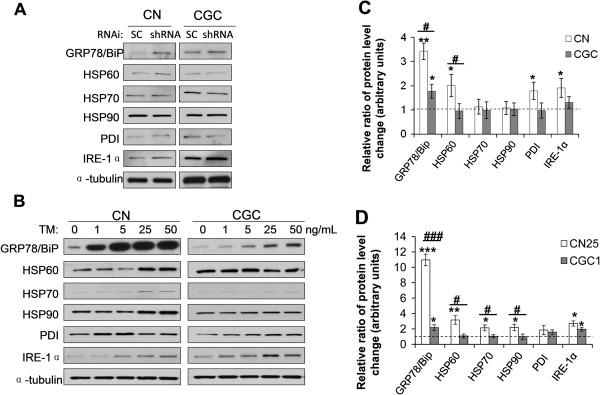 https://cdn.ncbi.nlm.nih.gov/pmc/blobs/405e/3907076/bf39f35845d2/1756-6606-6-52-3.jpg