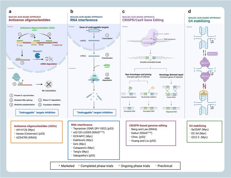 https://cdn.ncbi.nlm.nih.gov/pmc/blobs/405f/10480221/3ab9d5f14fbc/41392_2023_1589_Fig6_HTML.jpg