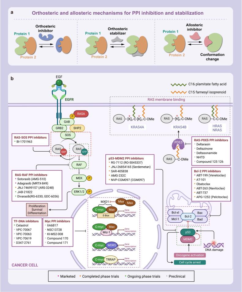 https://cdn.ncbi.nlm.nih.gov/pmc/blobs/405f/10480221/5226048b5c06/41392_2023_1589_Fig3_HTML.jpg