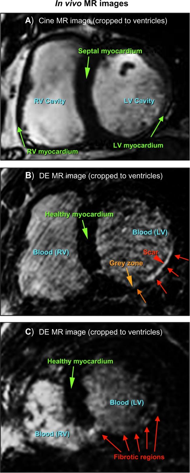 https://cdn.ncbi.nlm.nih.gov/pmc/blobs/405f/4210189/e18076f020ea/cmc-2014-001f1.jpg