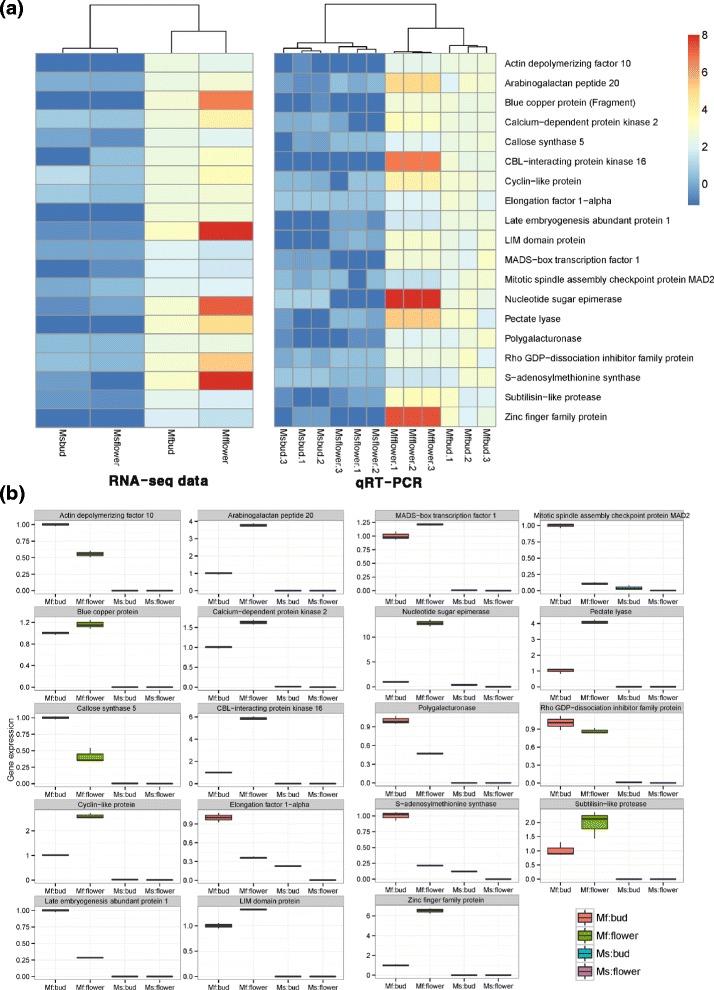 https://cdn.ncbi.nlm.nih.gov/pmc/blobs/4061/4640349/5a6ba1a7c3b6/12864_2015_2186_Fig4_HTML.jpg