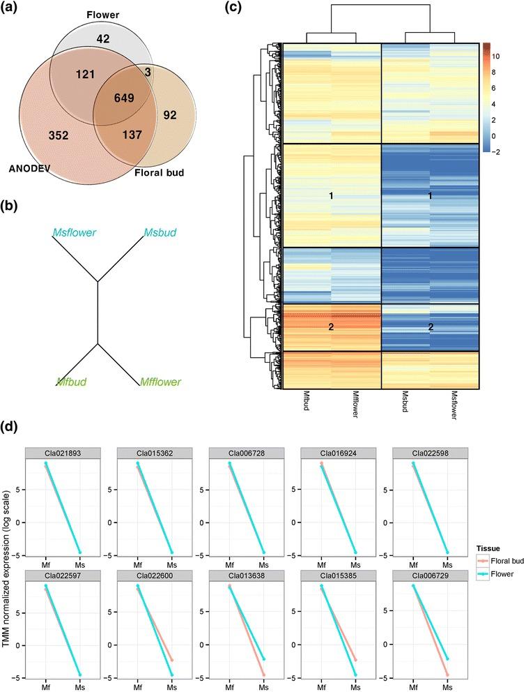 https://cdn.ncbi.nlm.nih.gov/pmc/blobs/4061/4640349/a4f1656ff1b5/12864_2015_2186_Fig2_HTML.jpg