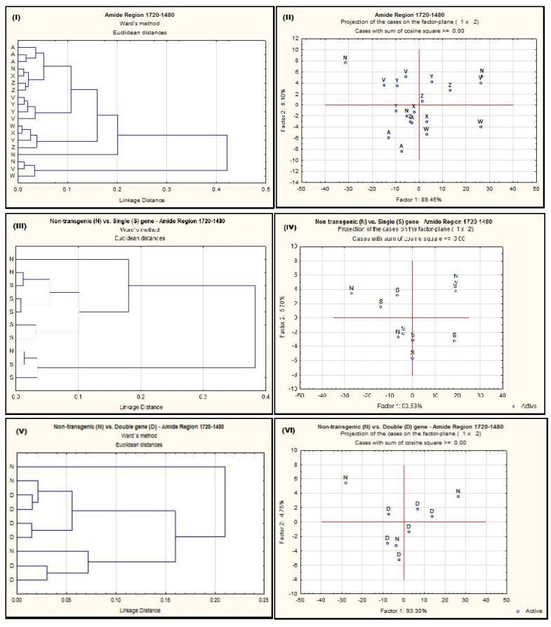 https://cdn.ncbi.nlm.nih.gov/pmc/blobs/4061/5372676/90372dca72d3/ijms-18-00664-g001.jpg