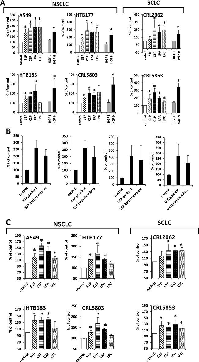 https://cdn.ncbi.nlm.nih.gov/pmc/blobs/4061/5601648/f6b50b23f3d7/oncotarget-08-58247-g003.jpg