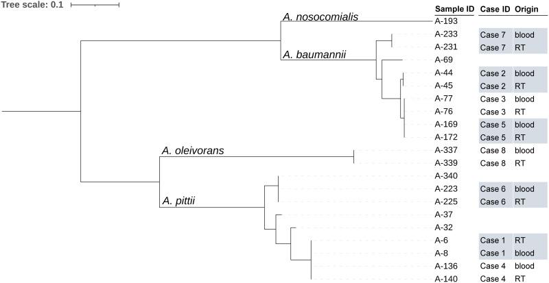 https://cdn.ncbi.nlm.nih.gov/pmc/blobs/4066/11090193/961e780fce2d/IDR-17-1827-g0004.jpg