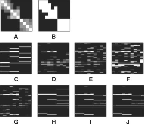 https://cdn.ncbi.nlm.nih.gov/pmc/blobs/4067/2687972/7faa29e76164/btp218f7.jpg