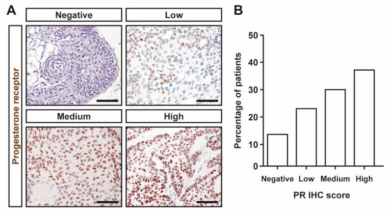 https://cdn.ncbi.nlm.nih.gov/pmc/blobs/4068/8746083/a6c718042a80/jcm-11-00281-g002.jpg