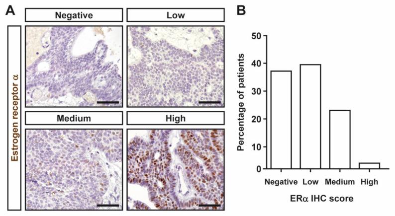 https://cdn.ncbi.nlm.nih.gov/pmc/blobs/4068/8746083/f1f5b435ed87/jcm-11-00281-g001.jpg
