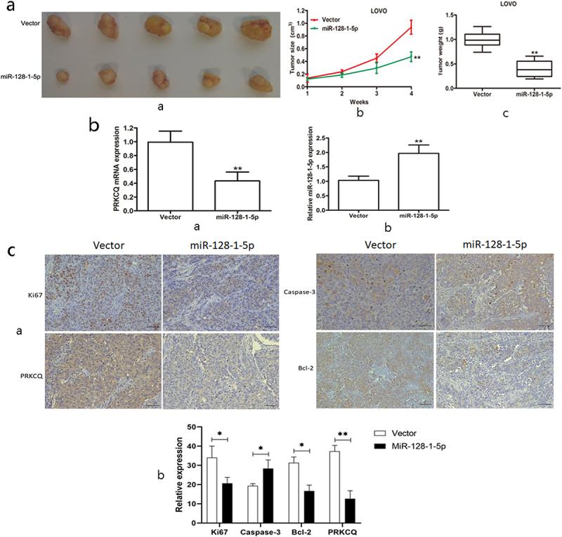 https://cdn.ncbi.nlm.nih.gov/pmc/blobs/4069/10294760/24bf7791d7e0/KCBT_A_2226421_F0005_OC.jpg