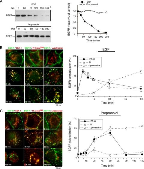 https://cdn.ncbi.nlm.nih.gov/pmc/blobs/406a/2921116/99eb3706326d/zmk0161095430007.jpg
