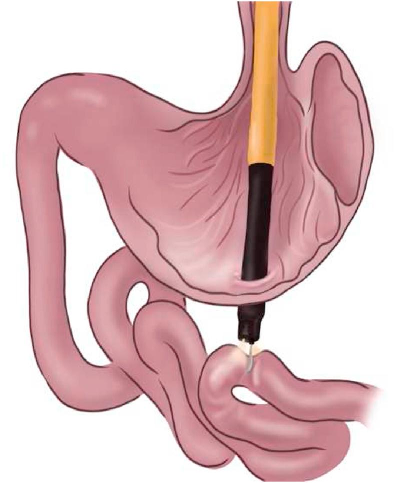 https://cdn.ncbi.nlm.nih.gov/pmc/blobs/406d/8636781/299ea3ad0e39/gr13.jpg