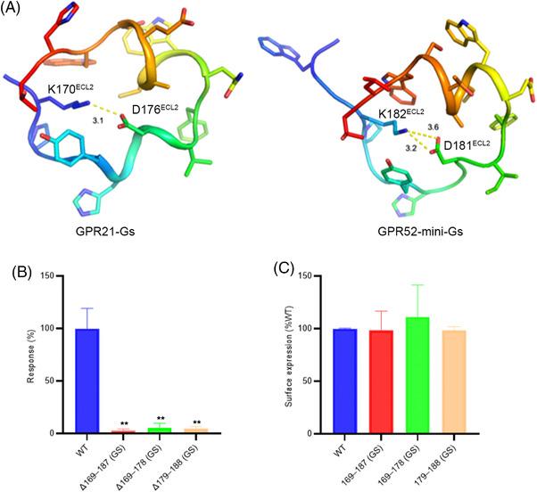 https://cdn.ncbi.nlm.nih.gov/pmc/blobs/406e/9877262/0857a6253083/MCO2-4-e205-g006.jpg